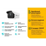 TP-Link VIGI C300HP-6